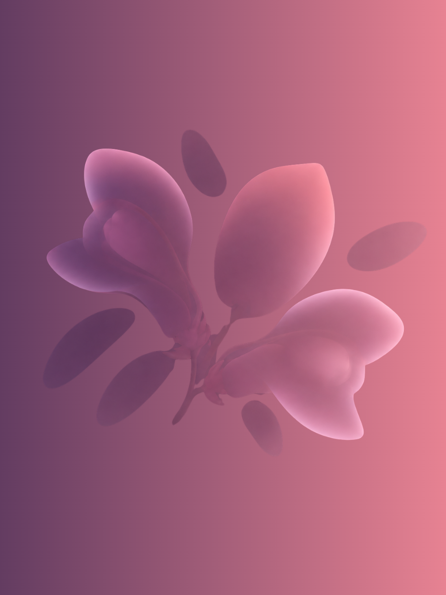 Snapdragon bloom — soft mauve and blush petals symbolising the Snapdragon Society creator studio
